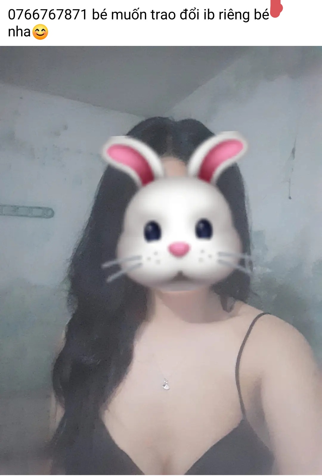 269181-fb356567d583.jpg