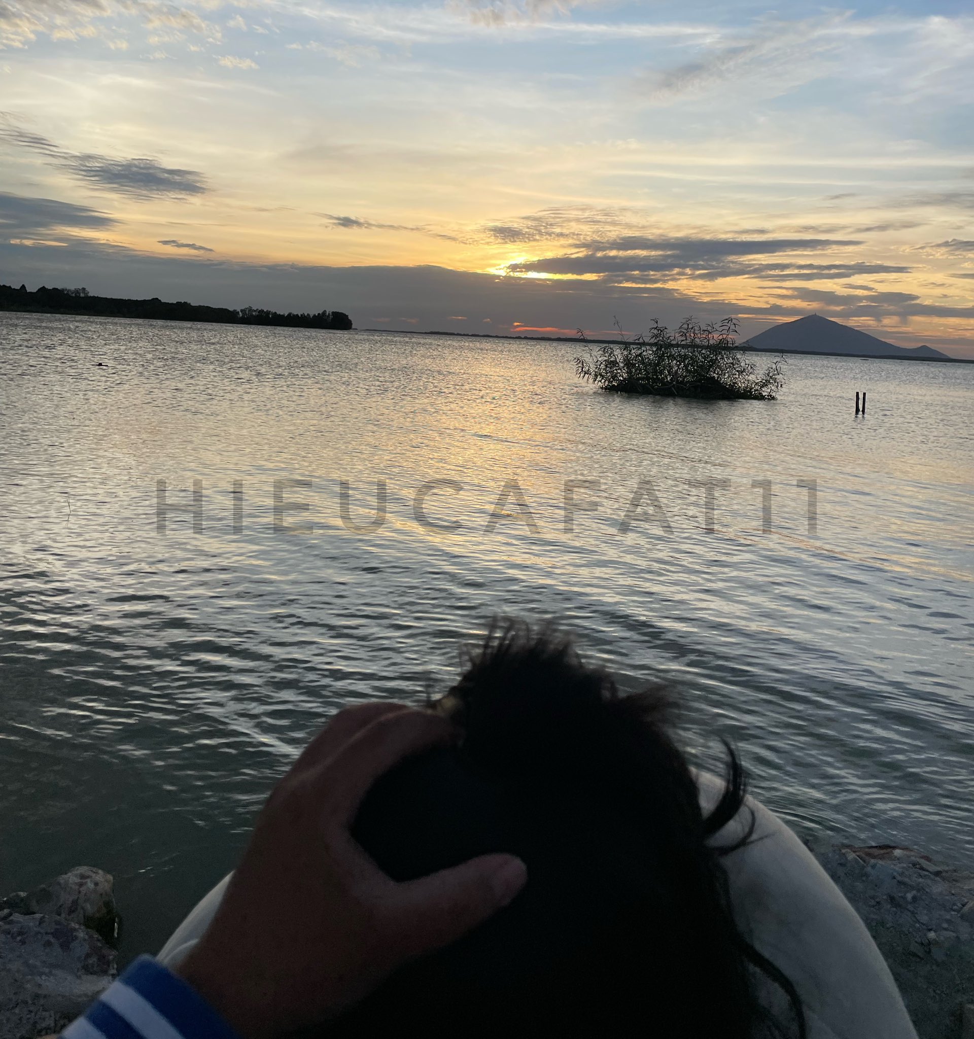 27864-f6e33dcd02ba.jpg
