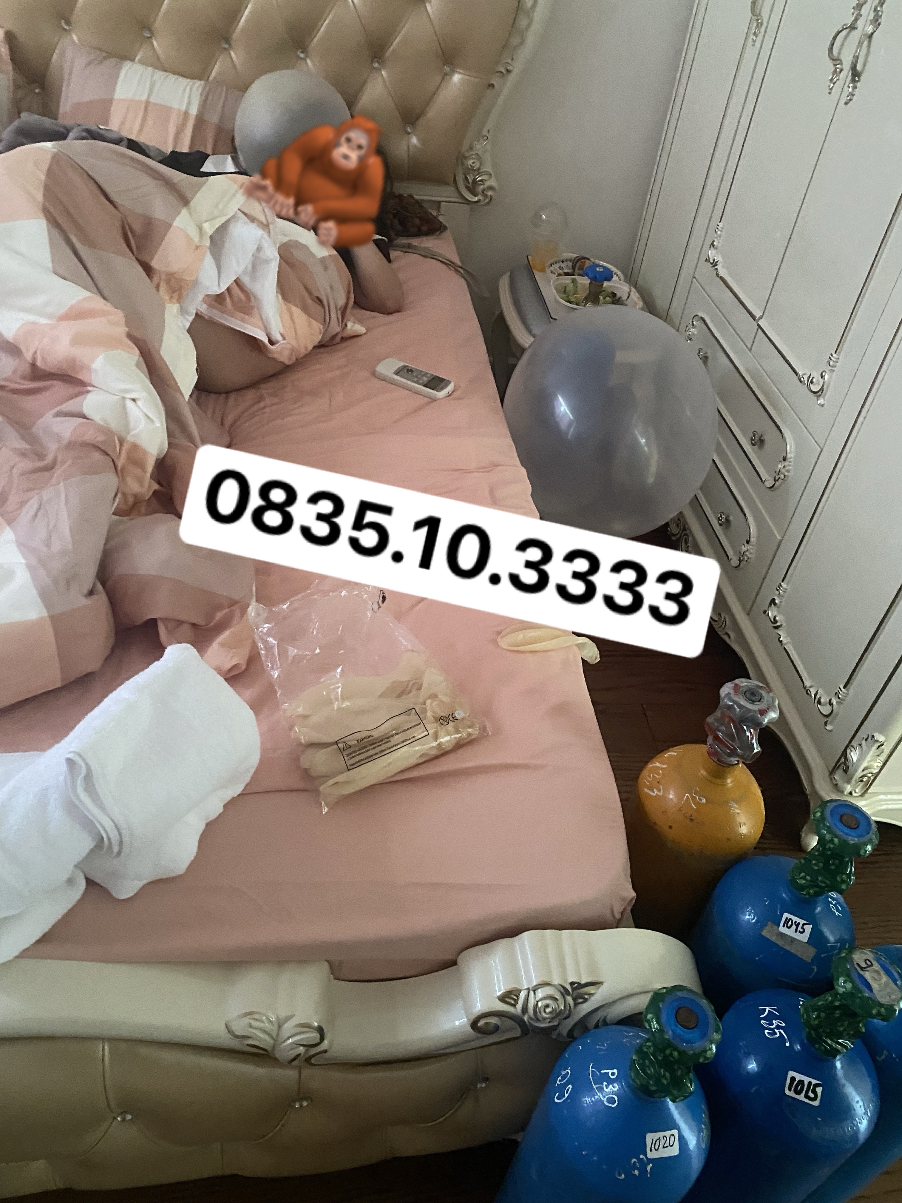 271086-c43a215866f8.jpeg