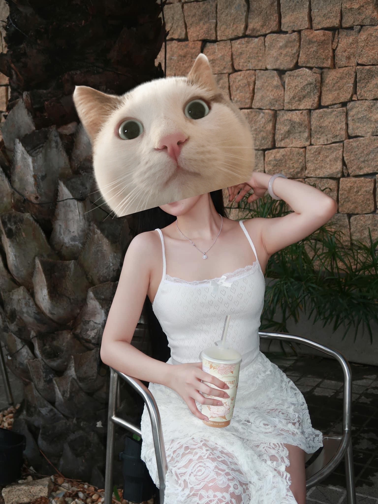 274256-25c47430f156.jpeg