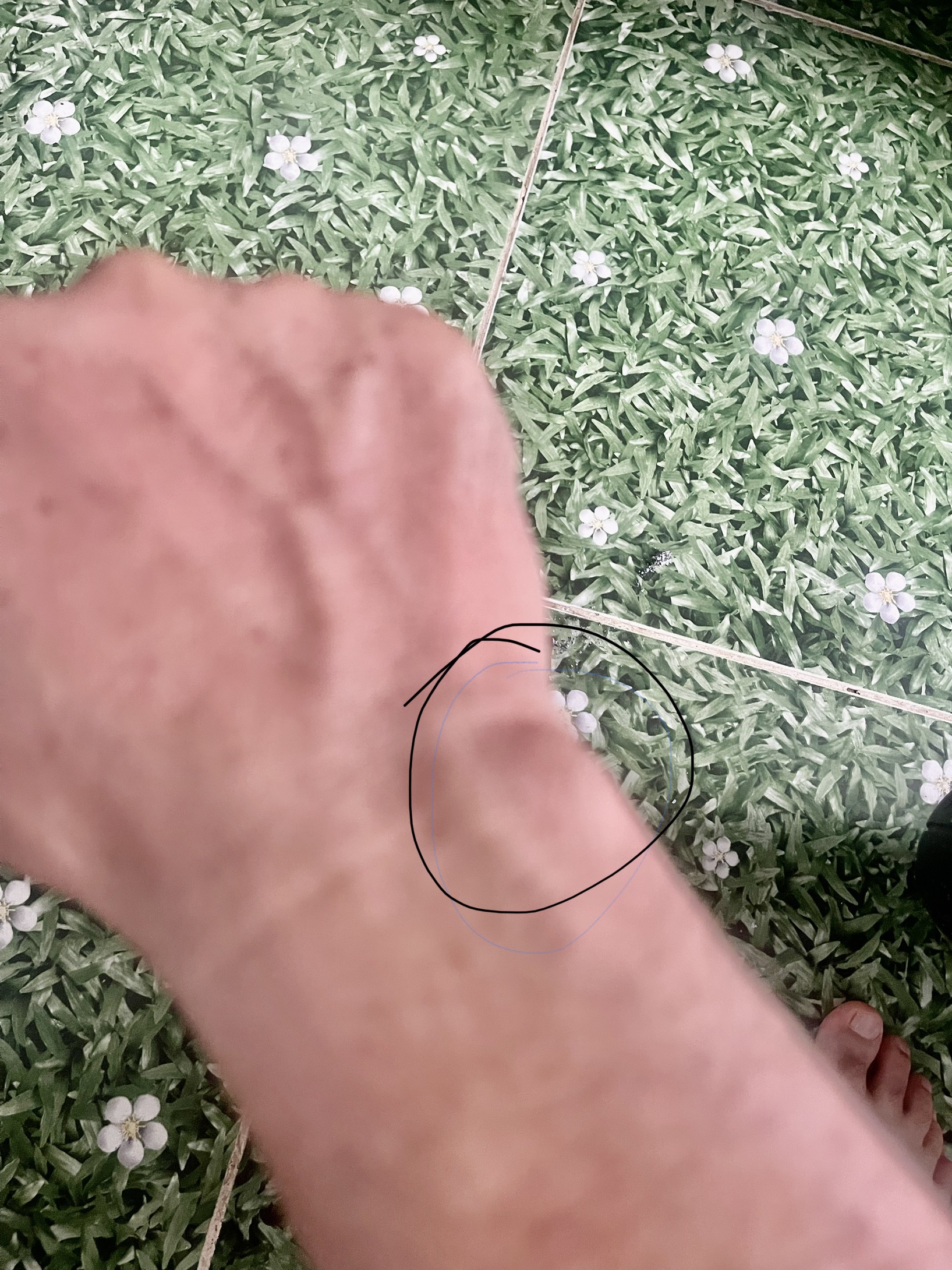 38671-0cbe12b011d1.jpeg