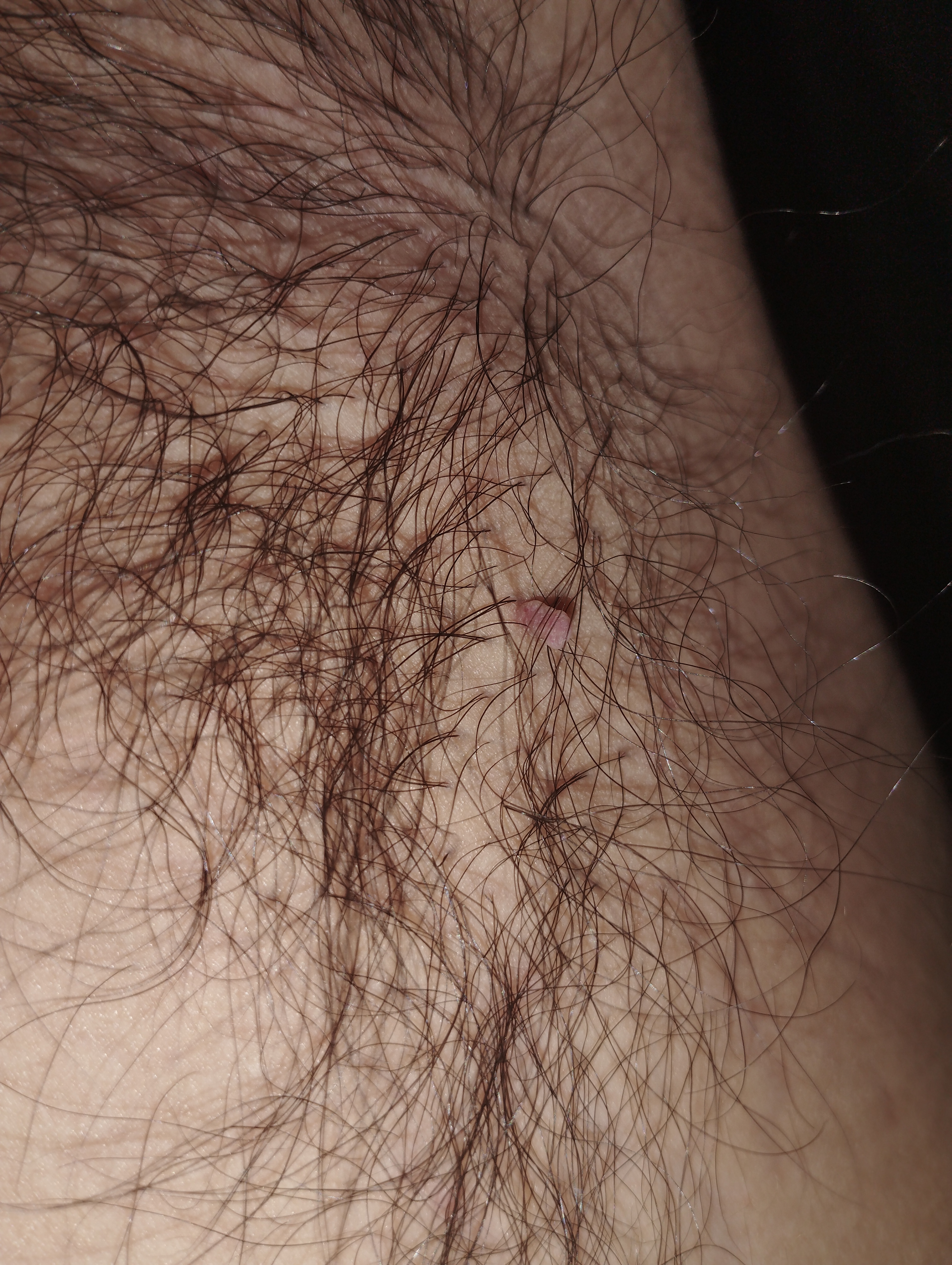 38890-ced7cfa0485b.jpg