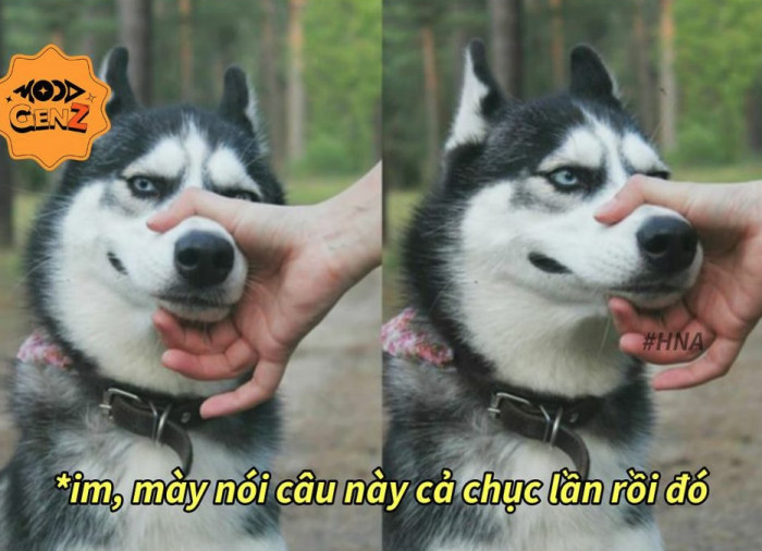 43529-88a2a5295073.jpeg