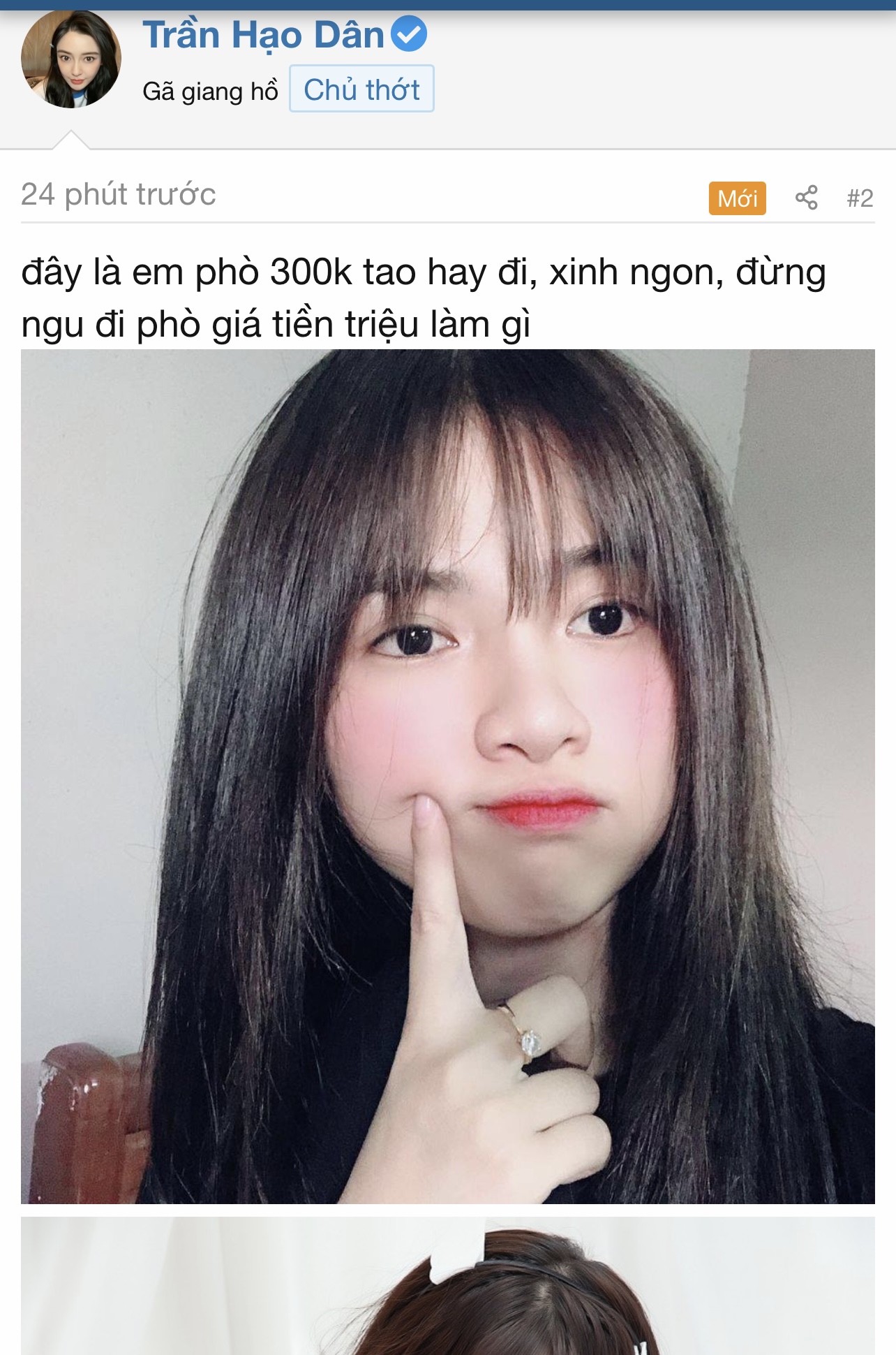 45950-1c92a134feab.jpeg