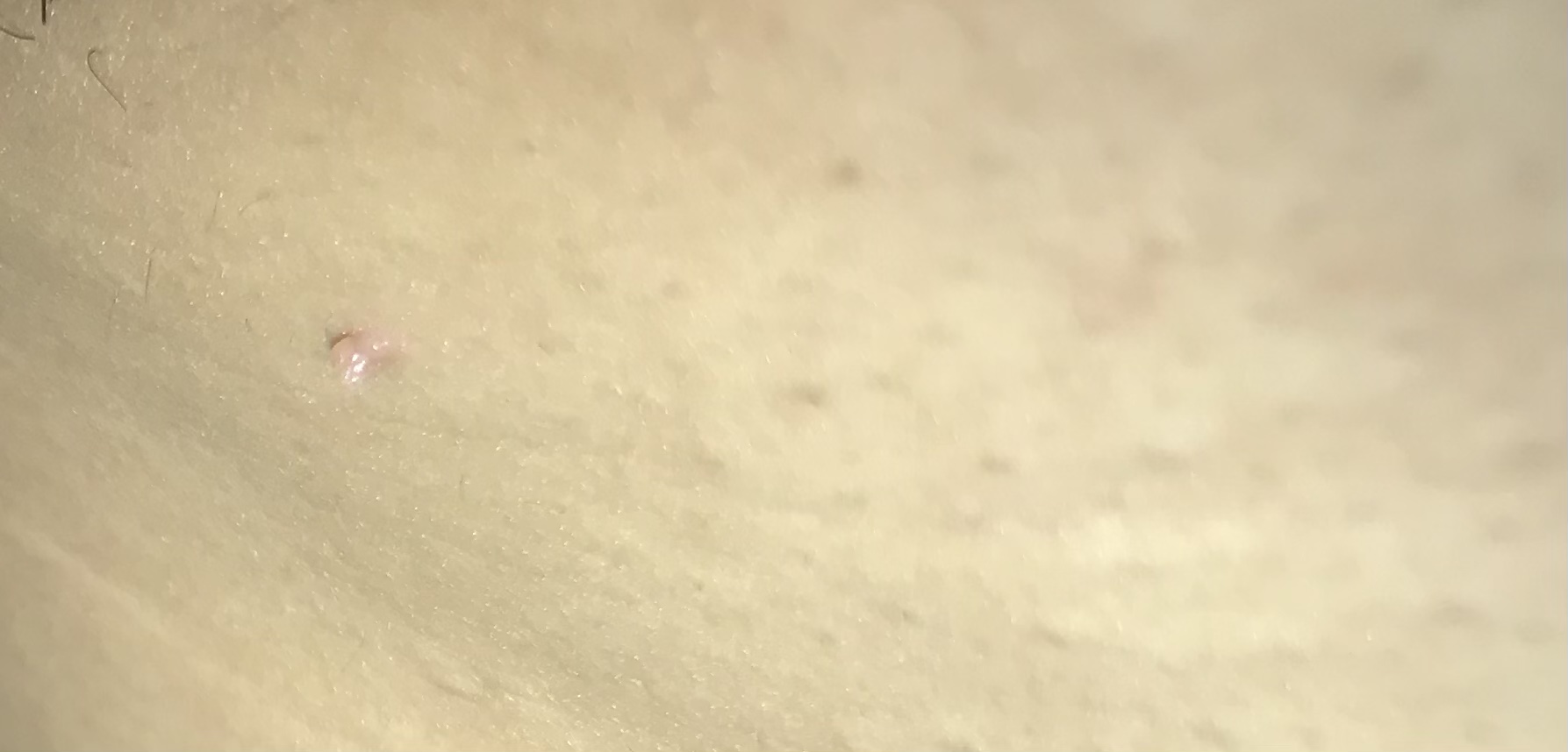 47538-1e4889417f83.jpeg