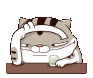 50567-5ce581027500.gif