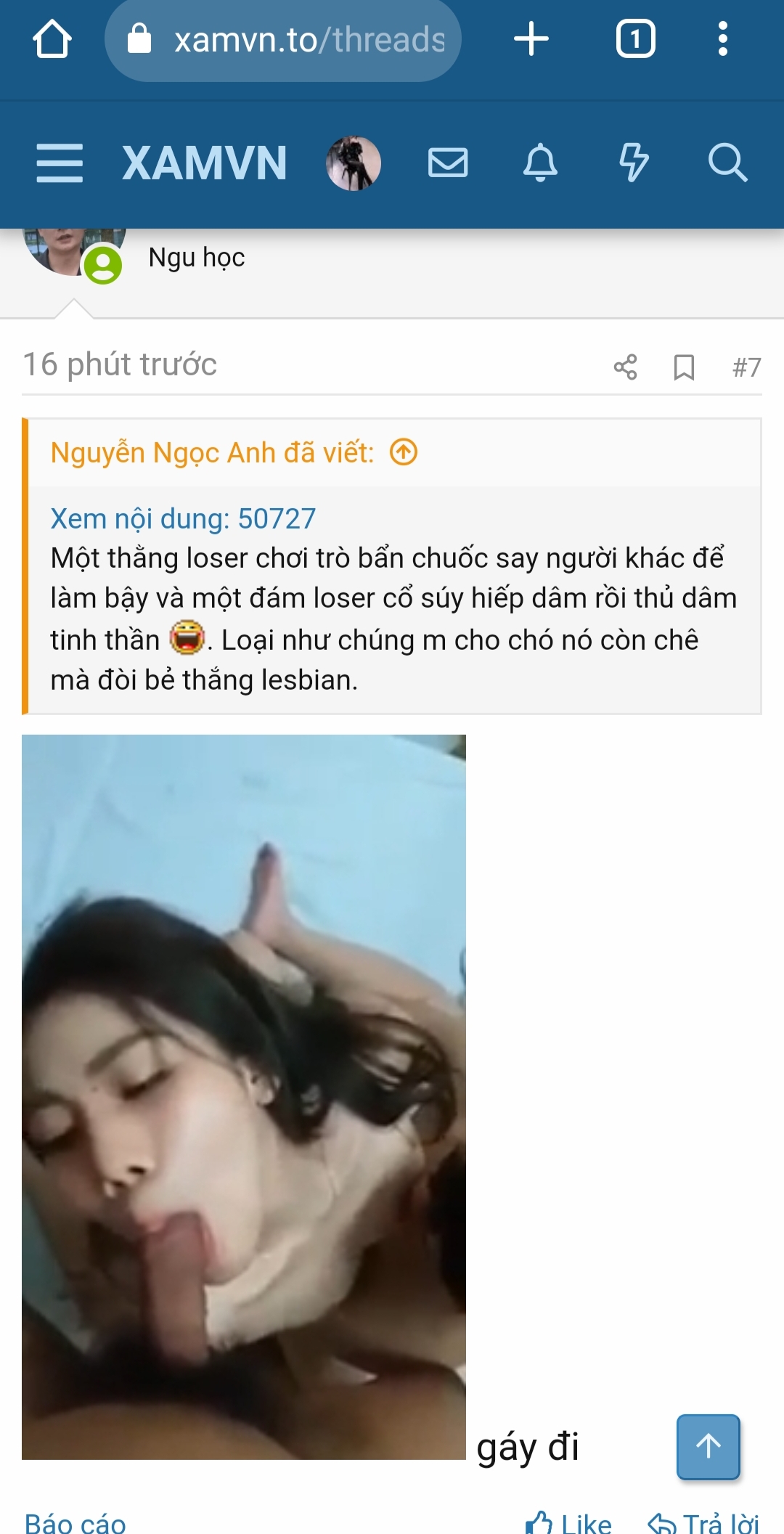 50743-6c9643afd654.jpg