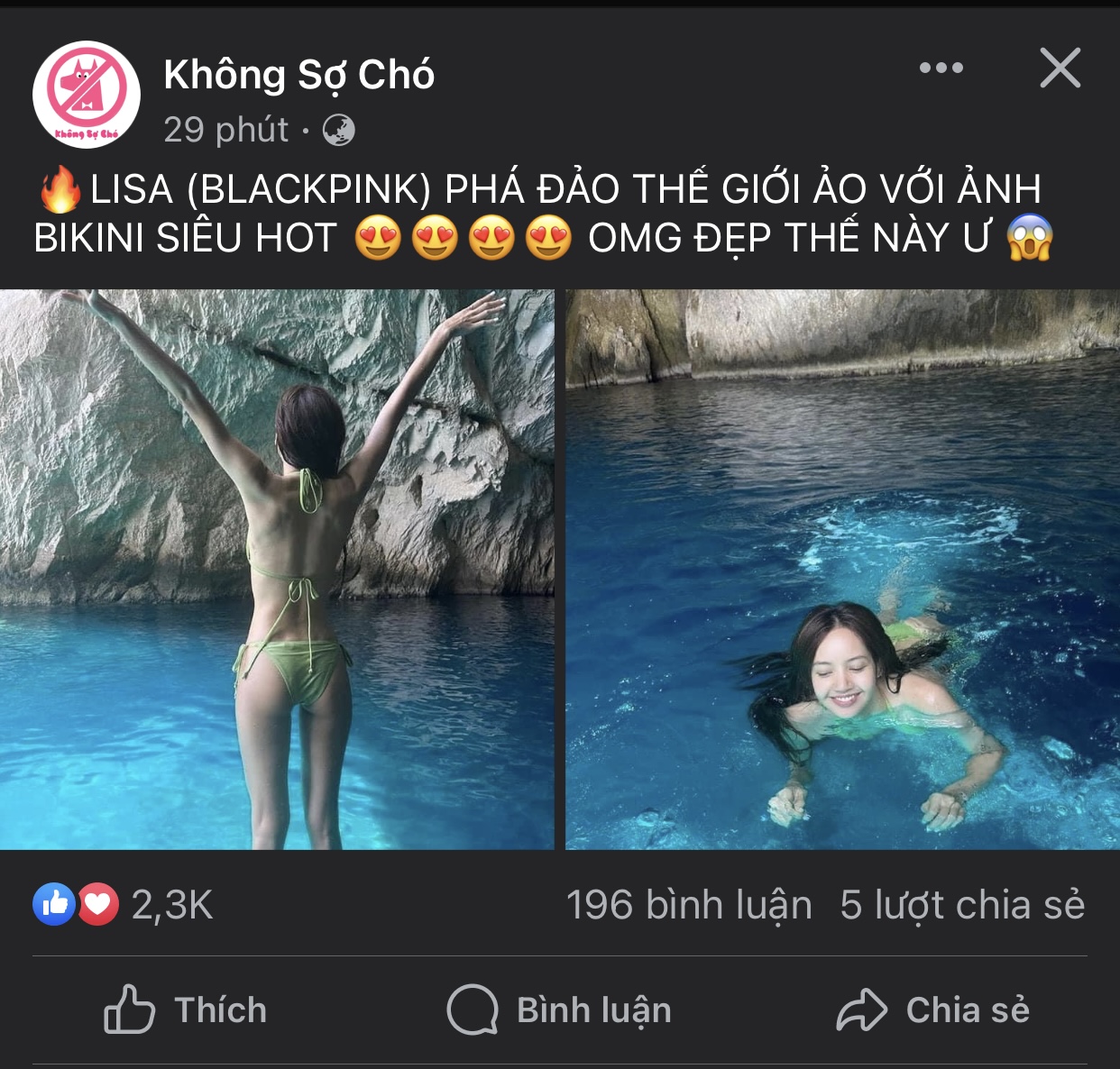 55325-4921bc668778.jpeg
