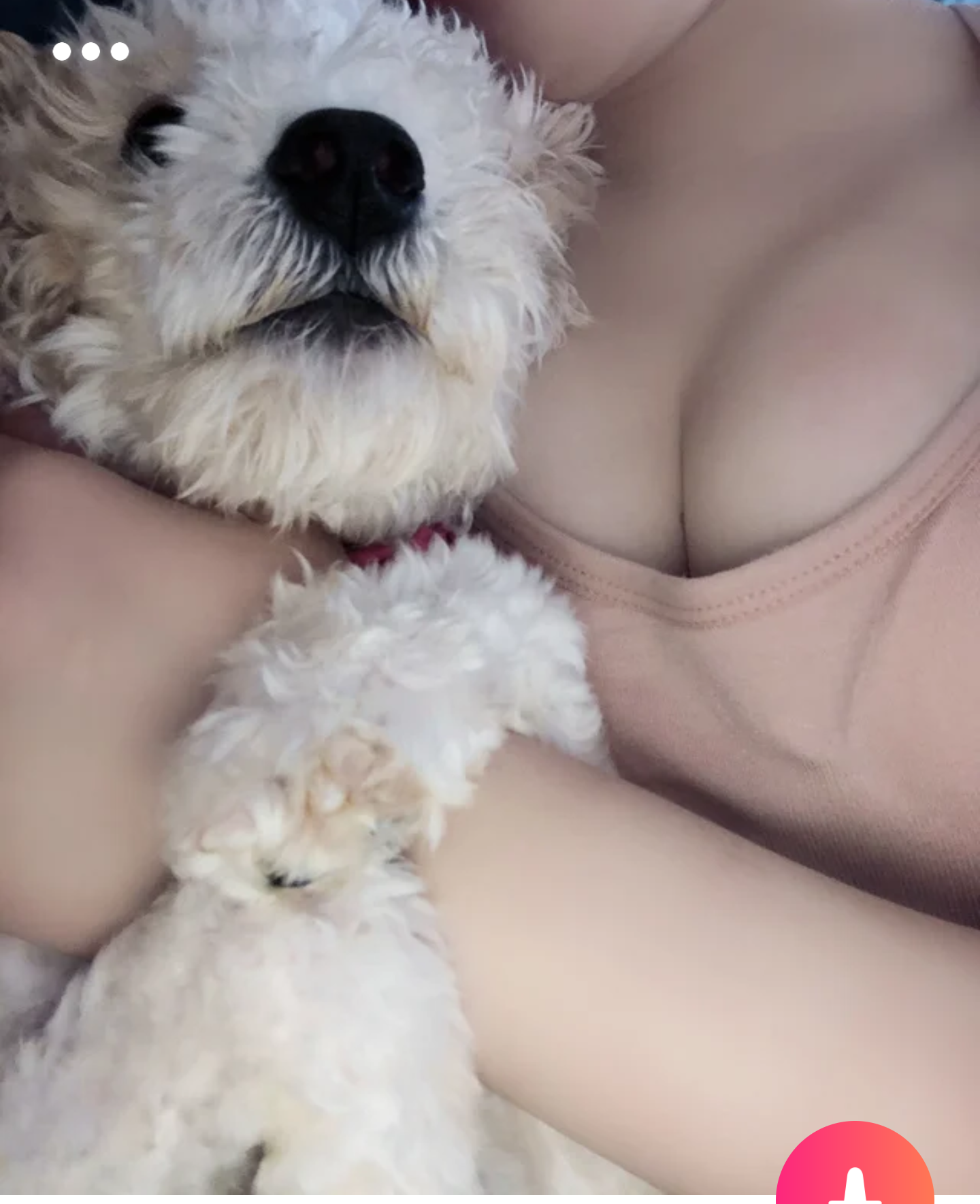 55553-4f45283f35c6.png