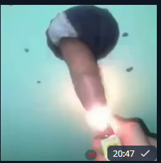 58244-d0f2f2d7028d.png