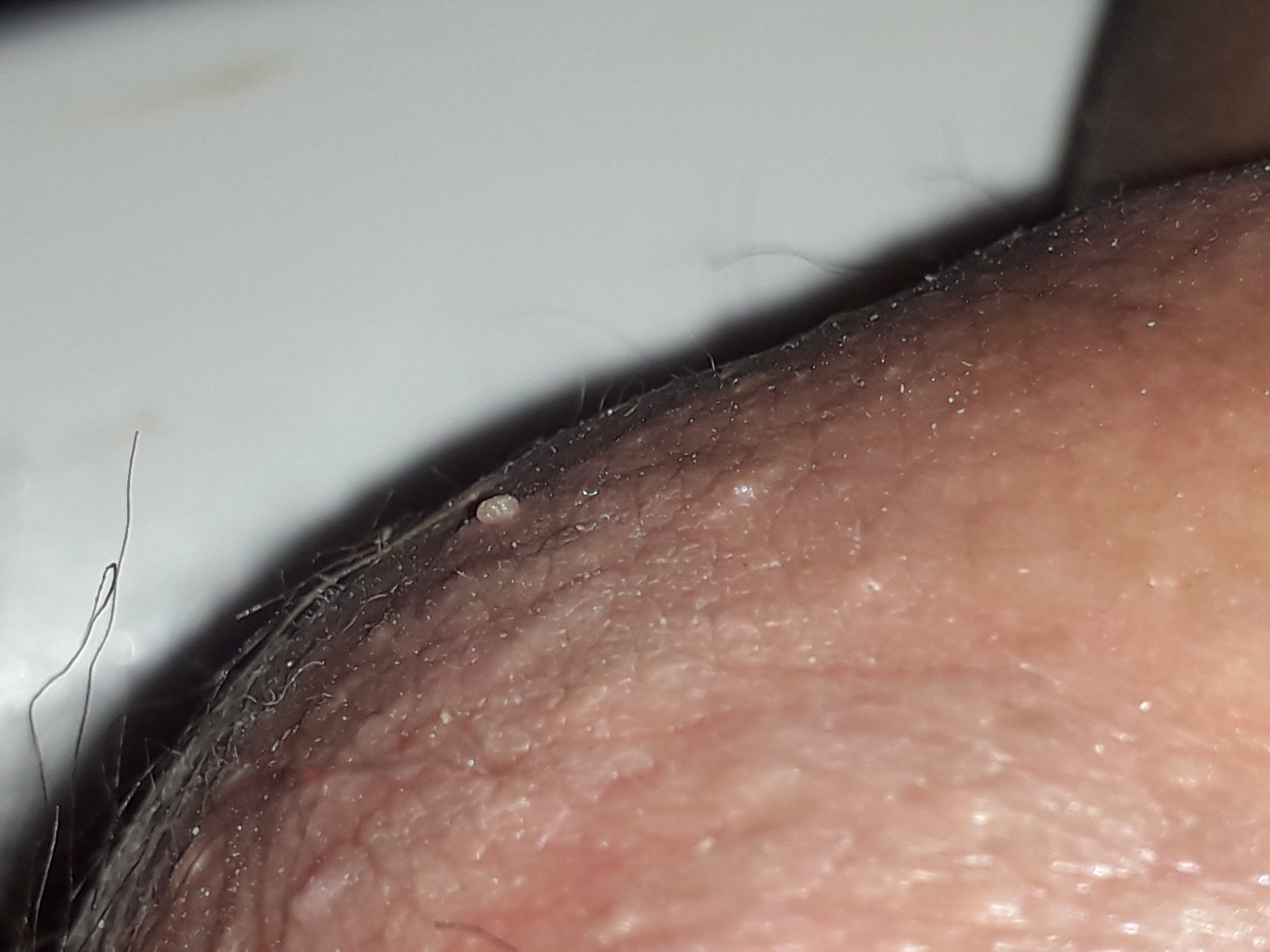 59194-fdfe8089e387.jpg