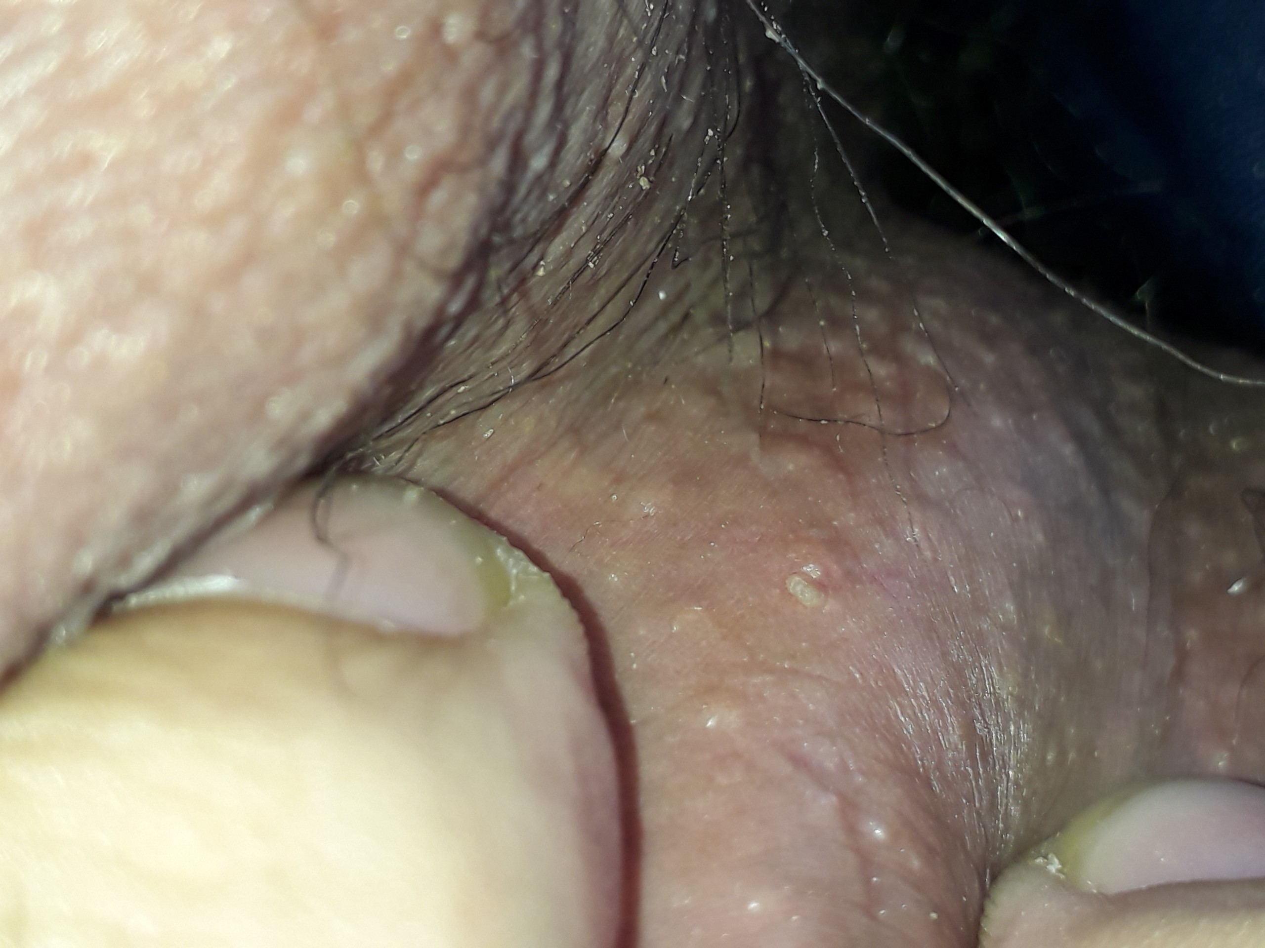 59195-c85b535d62b7.jpg