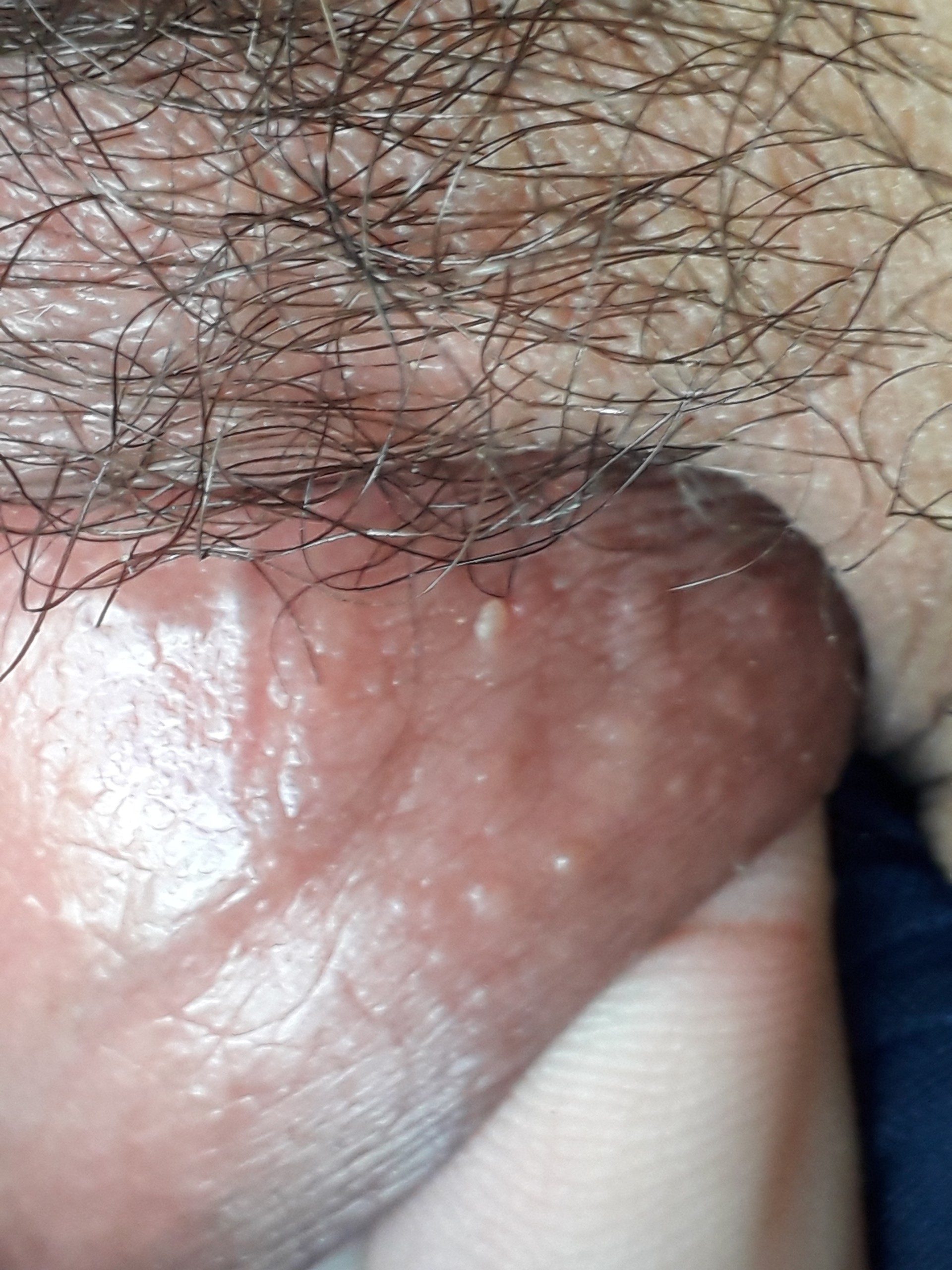 59204-4dfe54cbda4b.jpg