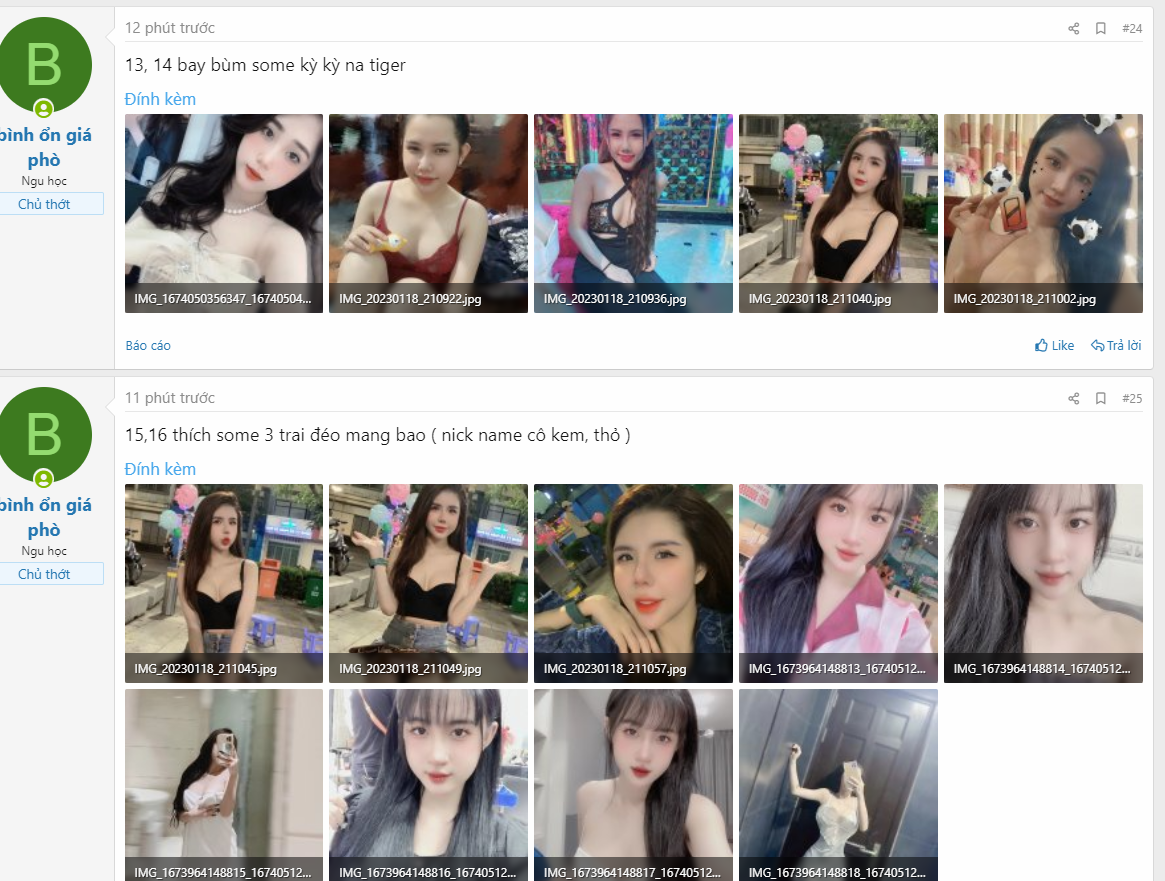 6231-f8046265b6be.png