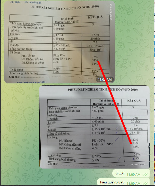 60744-d6dcc2799396.png
