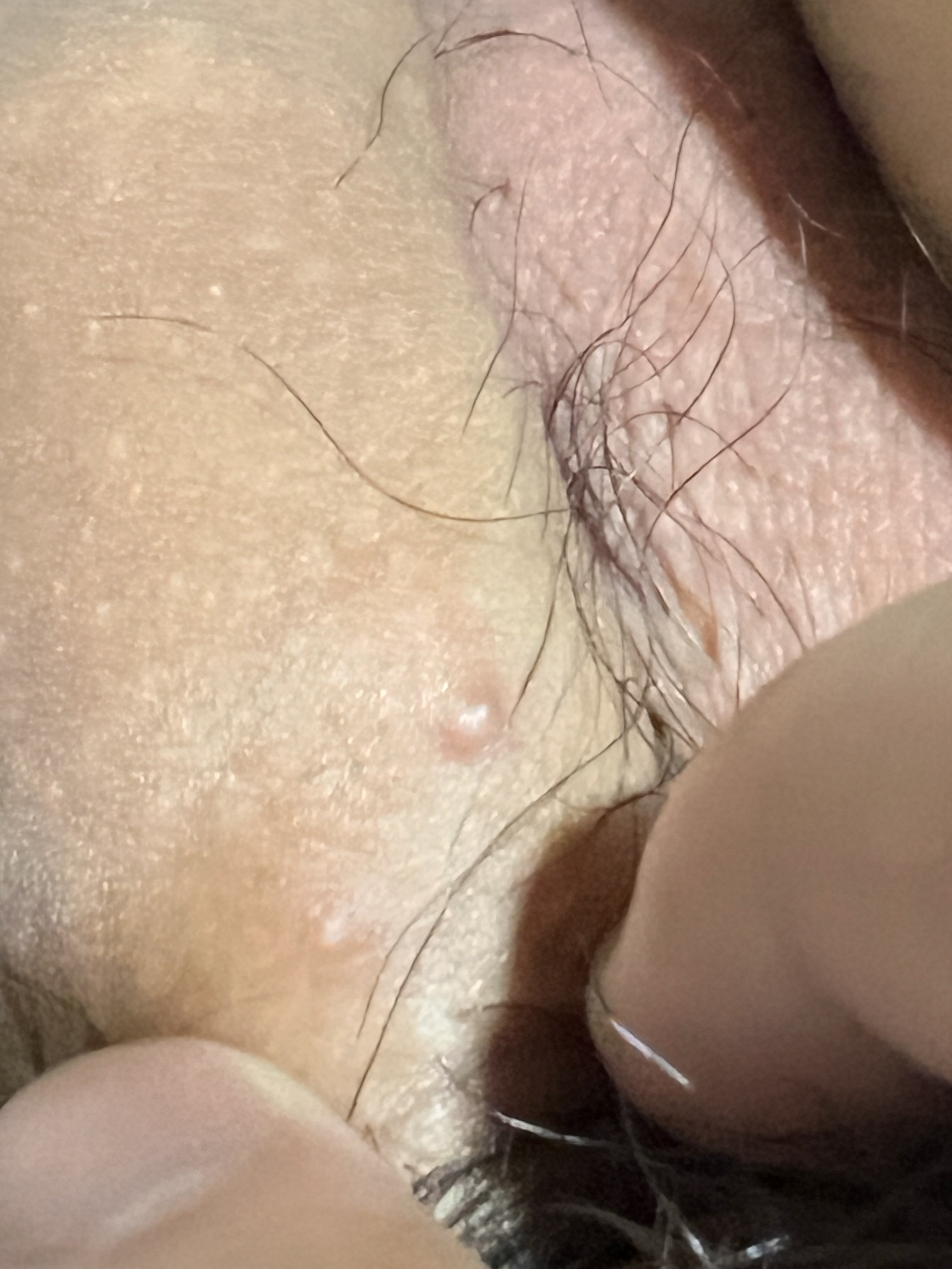 60889-c26b71520753.jpeg