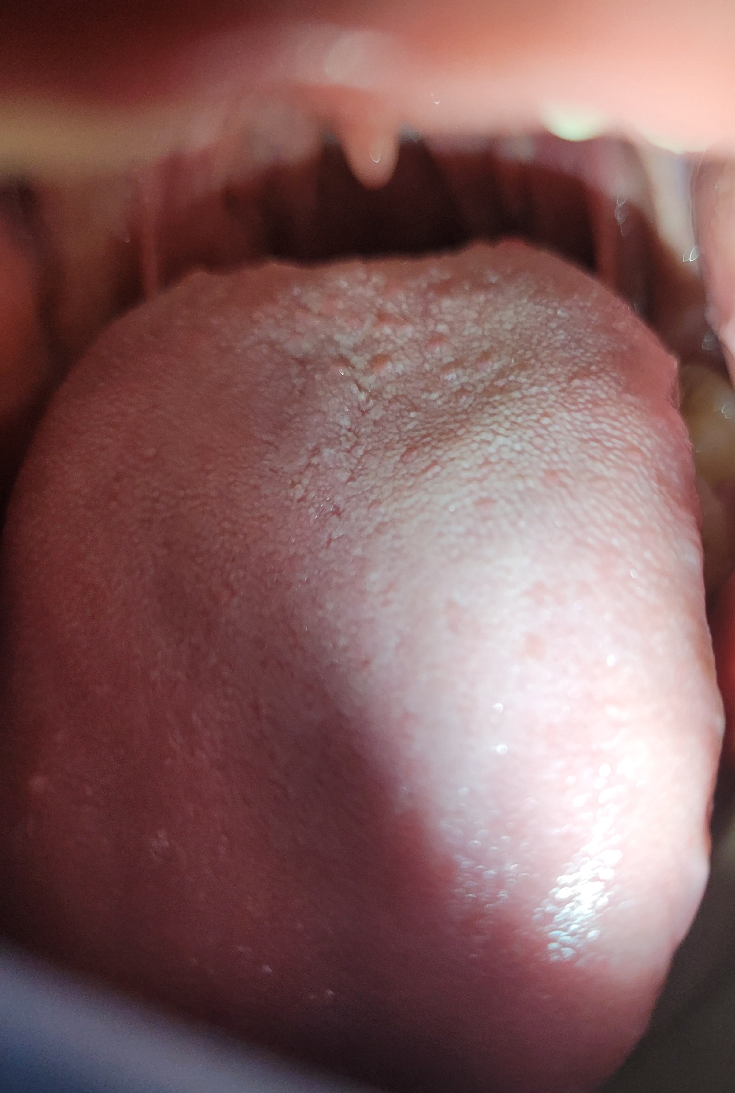 72029-99a9d727ae68.jpg