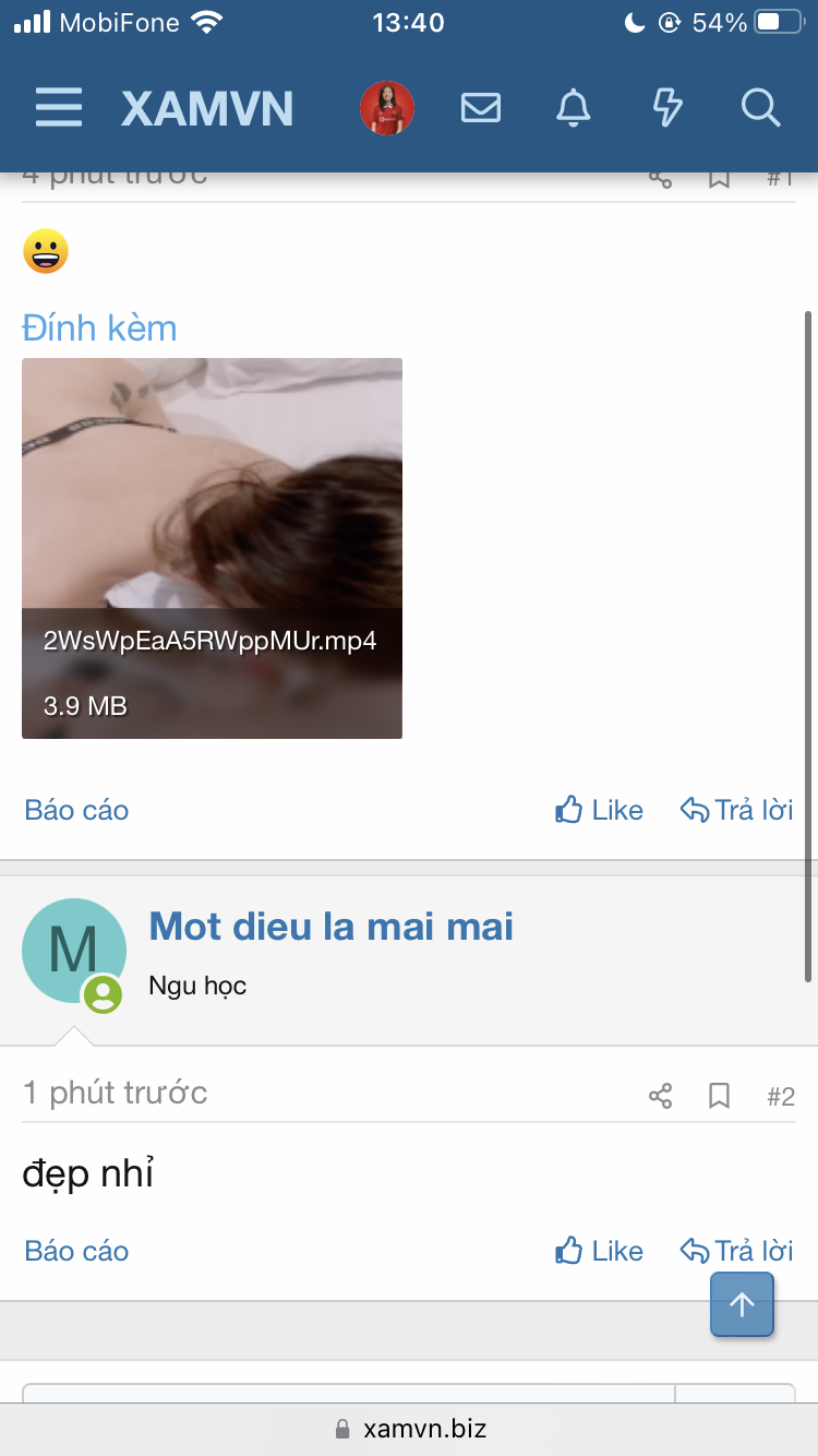 8511-a3c7bb29ae51.png