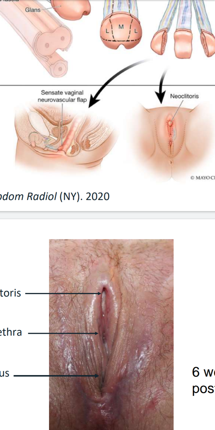 81211-2e24ecf361a3.png