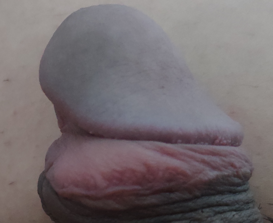 82997-c8fd4748601c.png