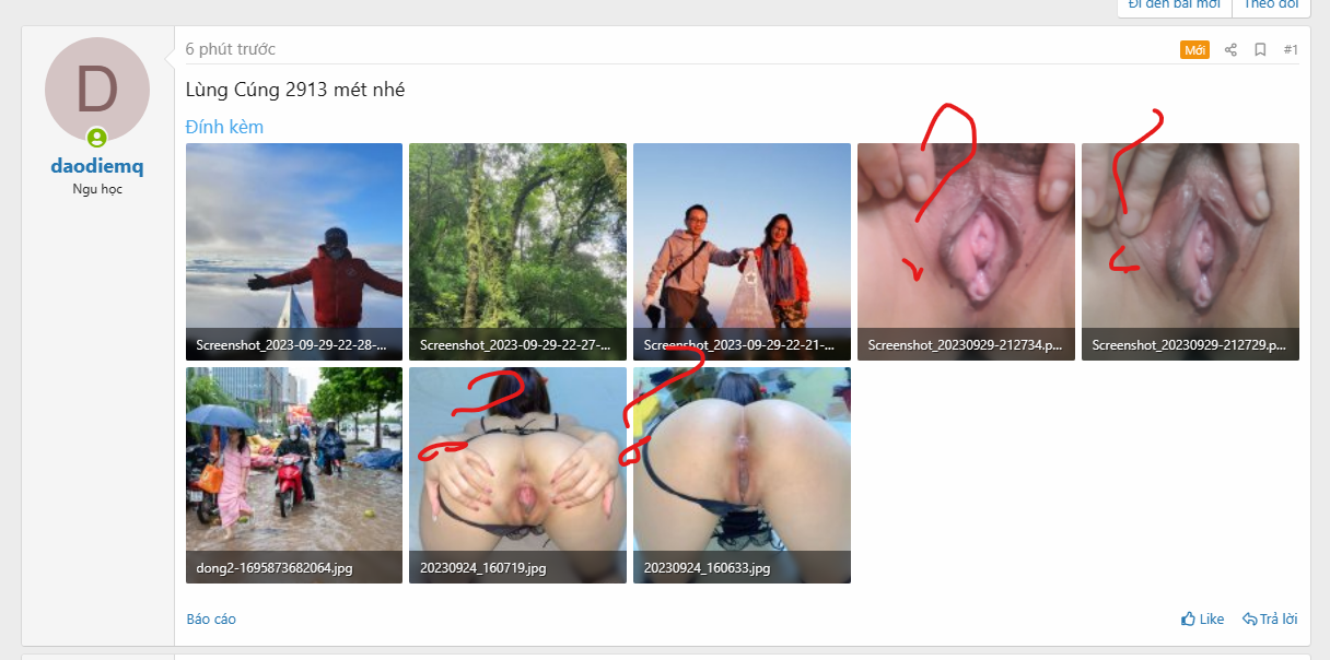 83193-22cdf3eba809.png