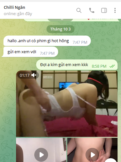 86017-4e8ab982e511.png