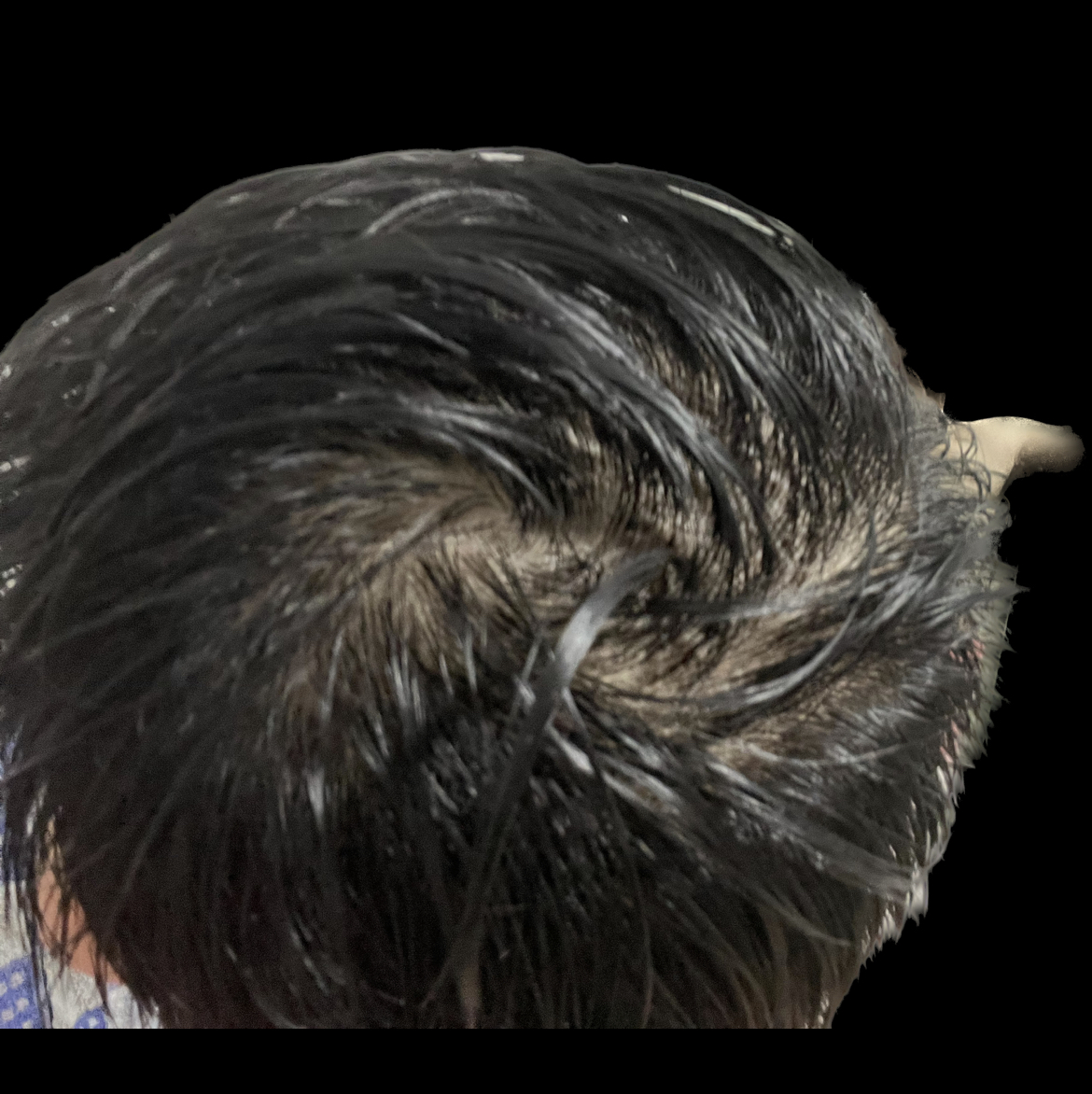 86883-9c834cf90037.jpeg