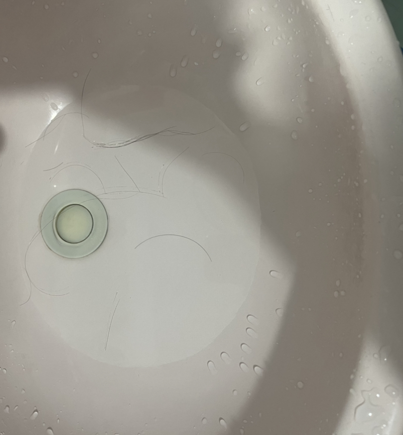 86885-84ed0009d91c.jpeg