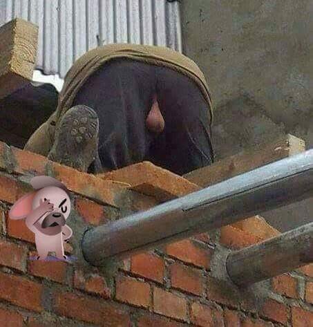 90972-d596da6bdd85.jpeg