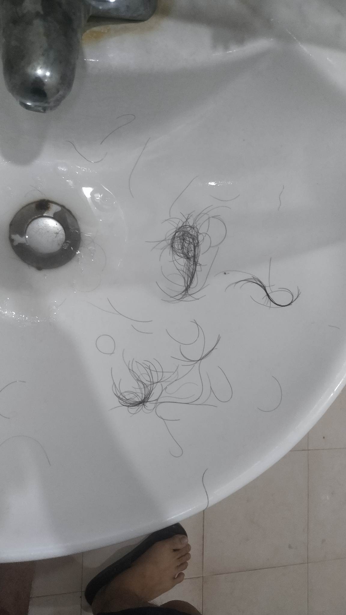93384-e0937b8f27bd.jpg