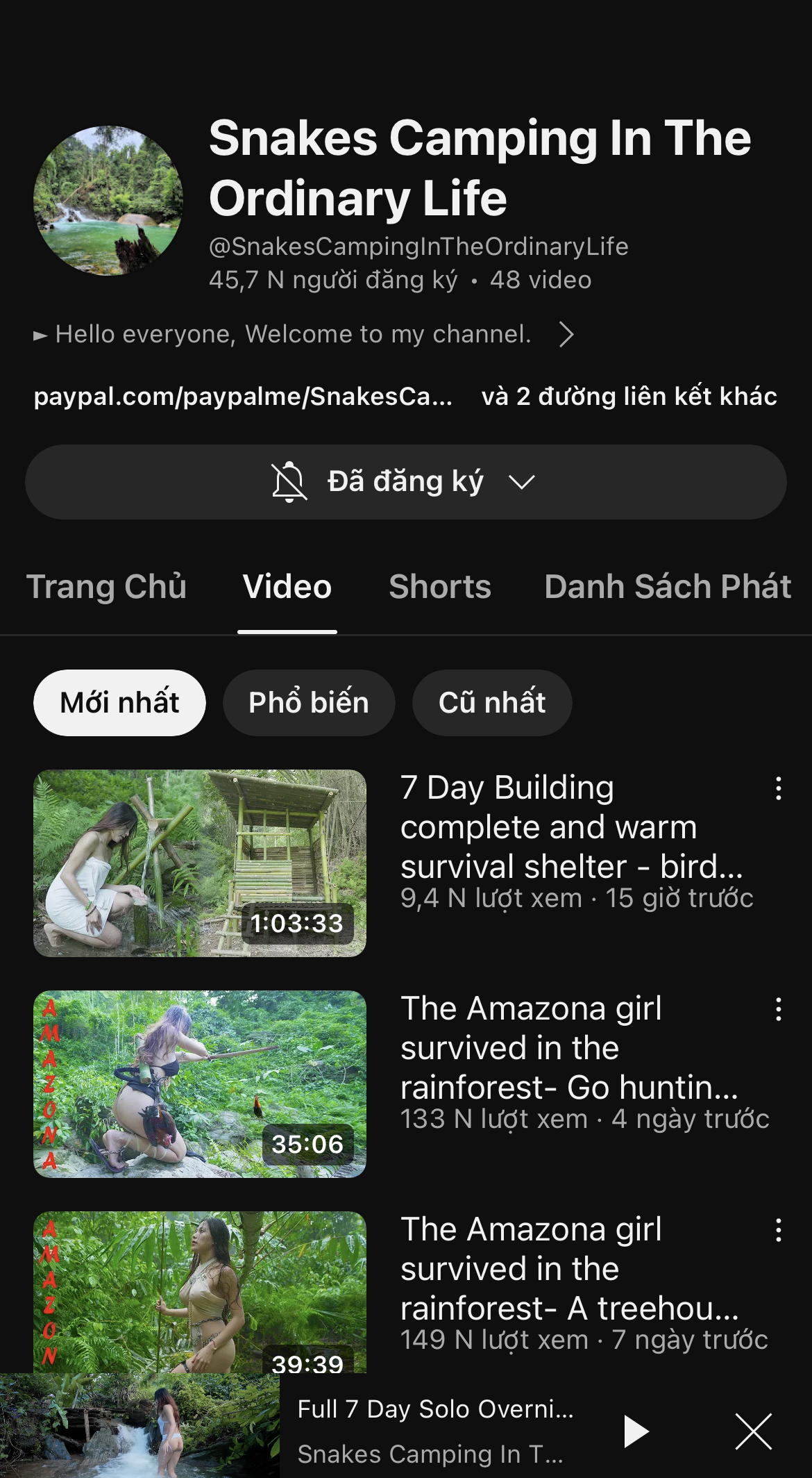 93919-2e60ccdff097.jpeg