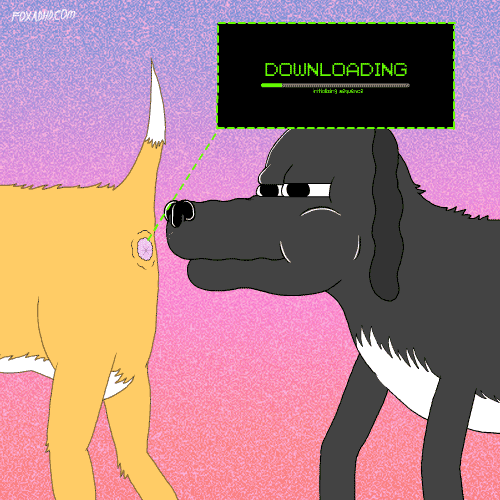 94184-a2229e0b2b7d.gif