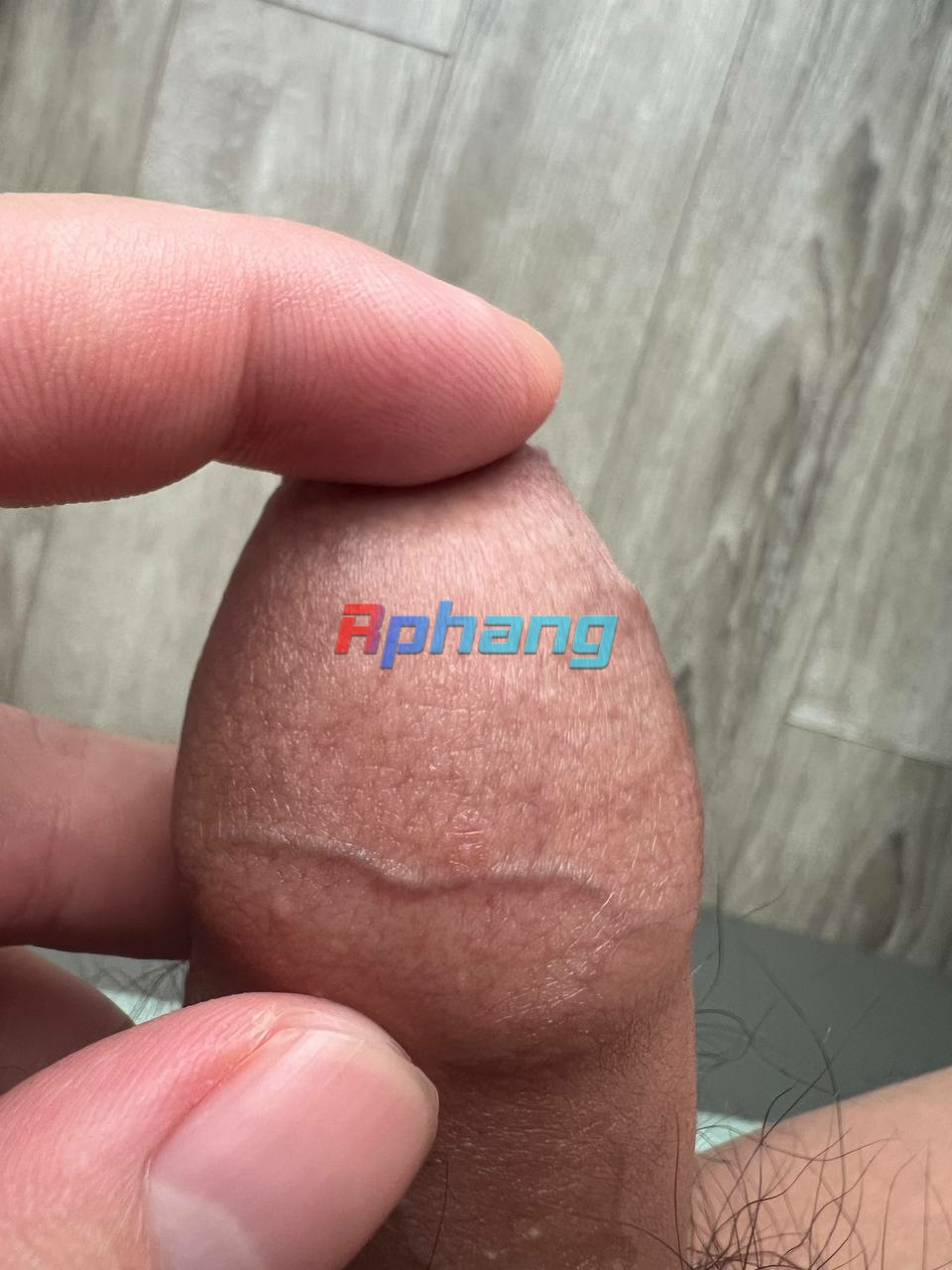 97282-d43491ad0f7c.png