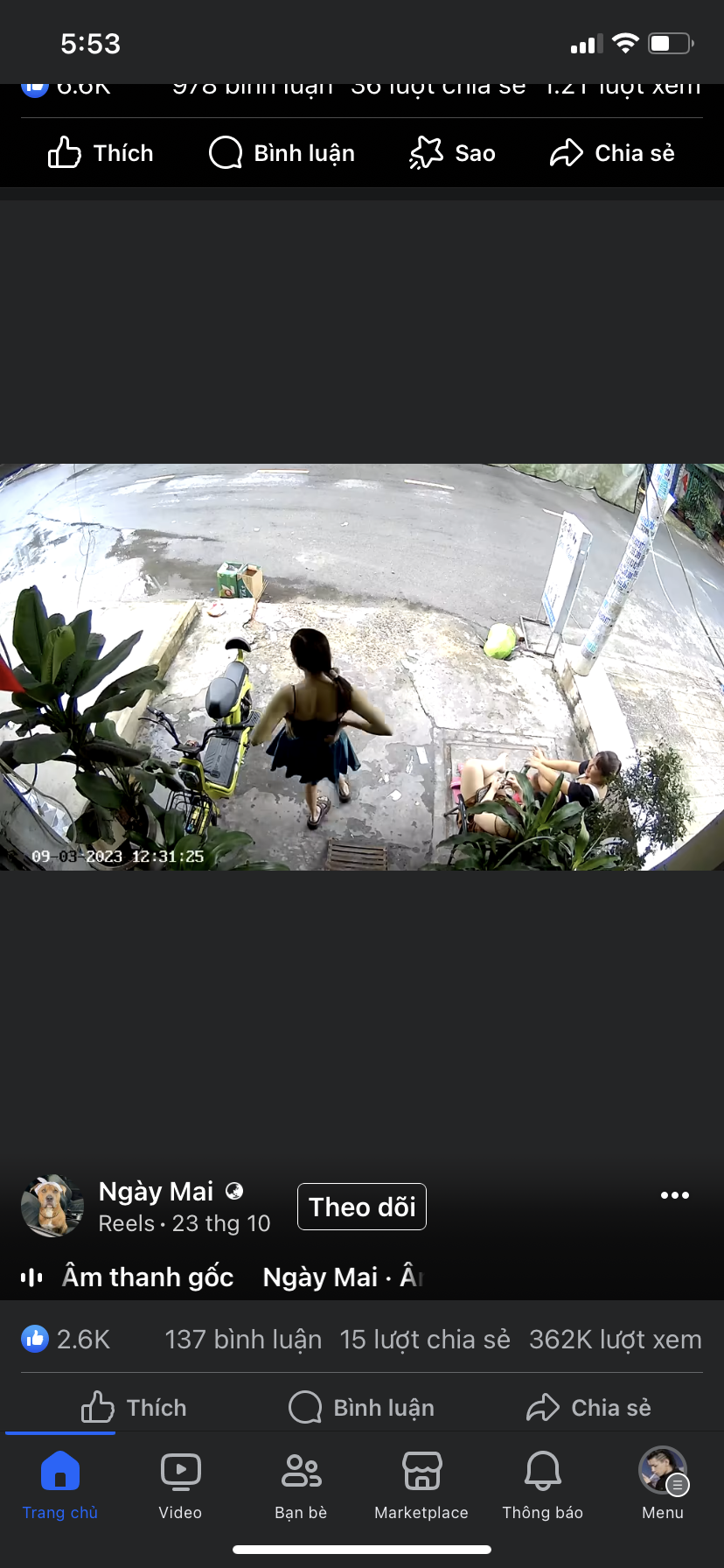 97693-768ec233e361.png