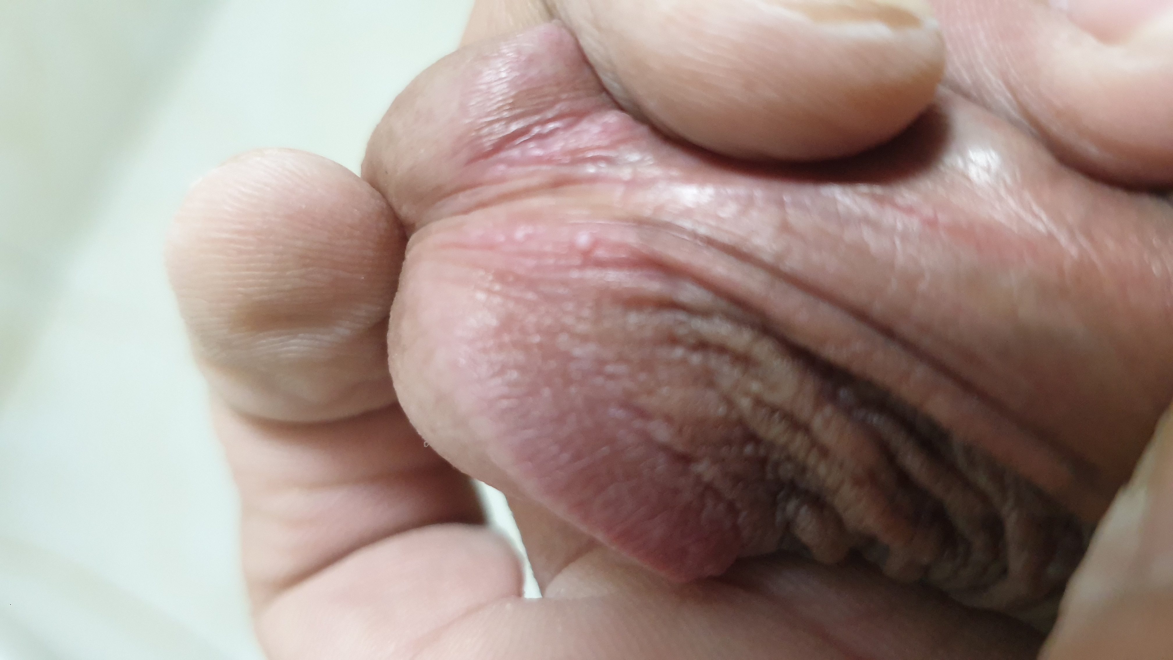 99087-3c561145e9d1.jpg
